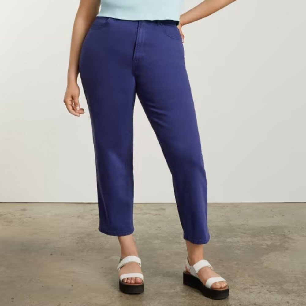 Everlane Straight Leg Jeans in Deep Blue